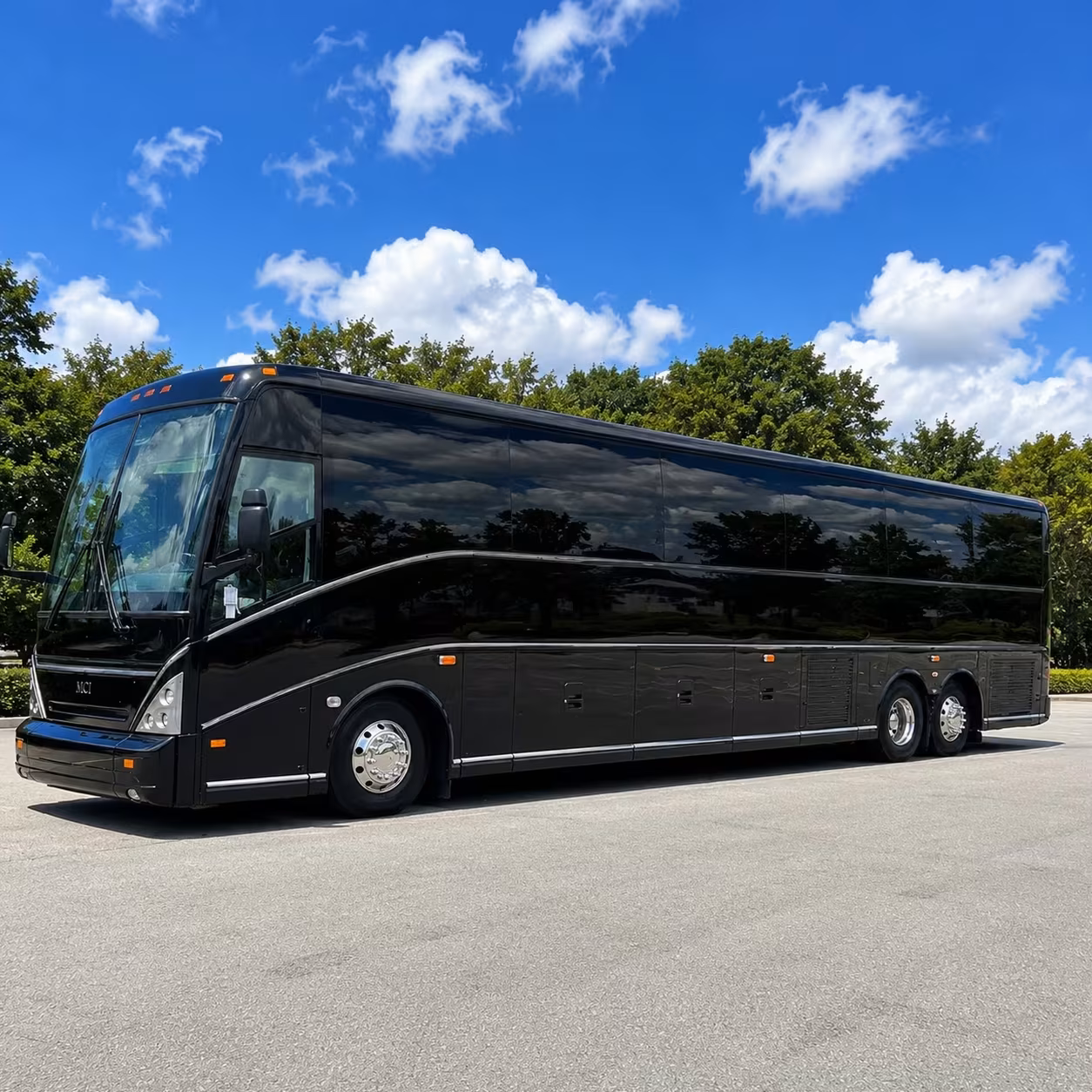 zoo and dinosaur ridge field trip transportation from denver